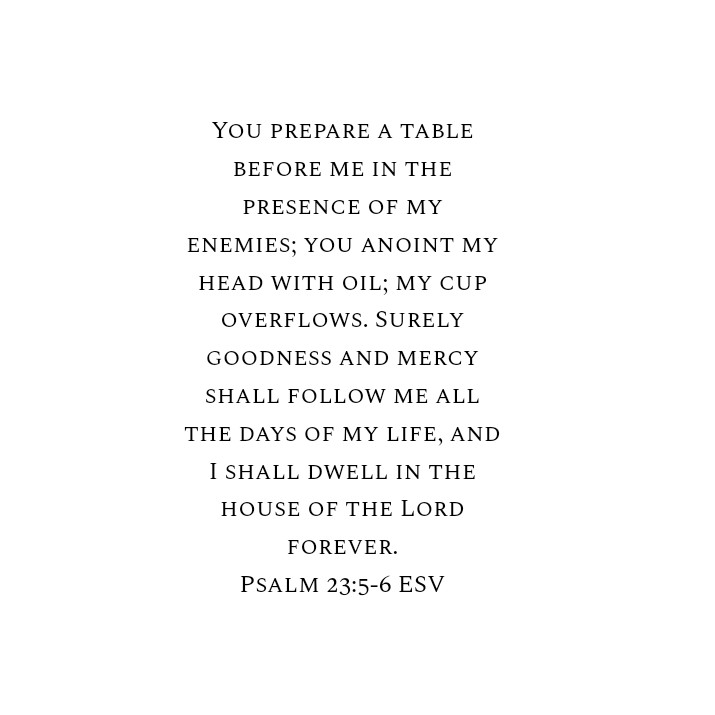 Psalm 23:5-6 ESV