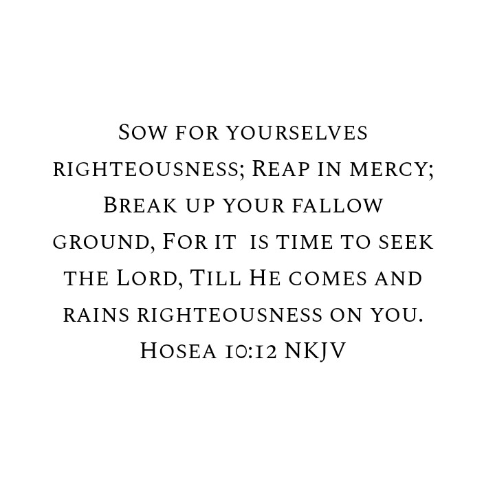 Hosea 10:12 NKJV