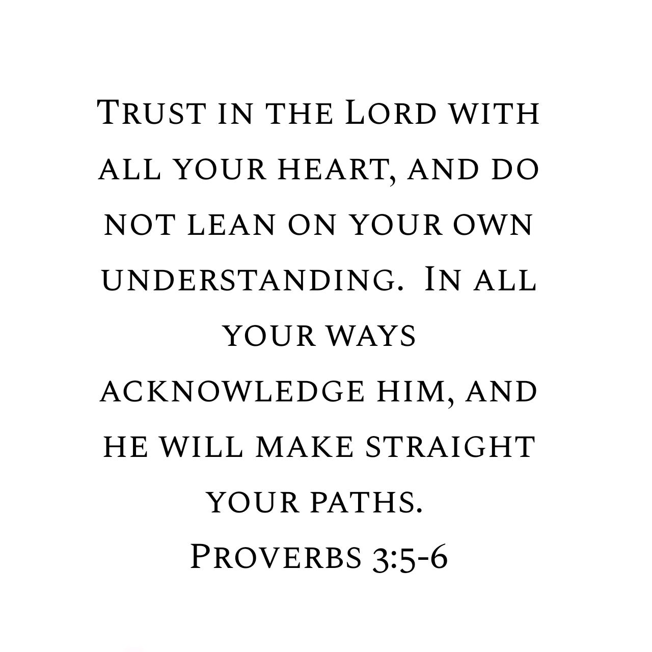 Proverbs 3:5-6 ESV