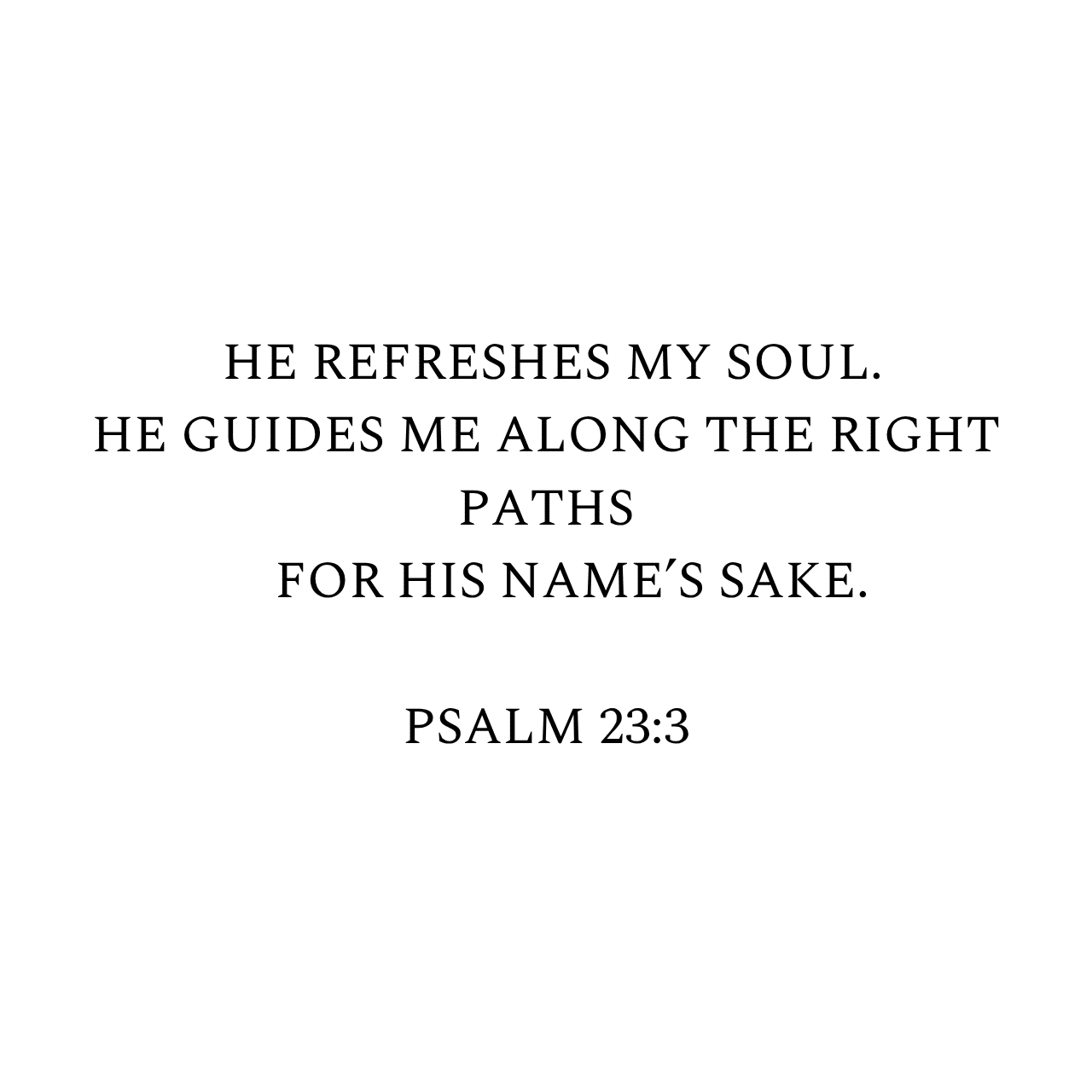 Psalm 23:3 NIV