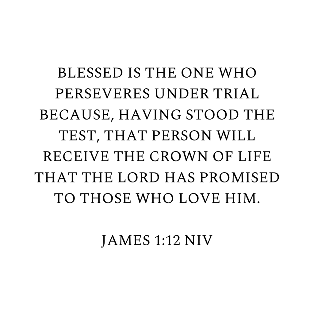 James 1:12 NIV
