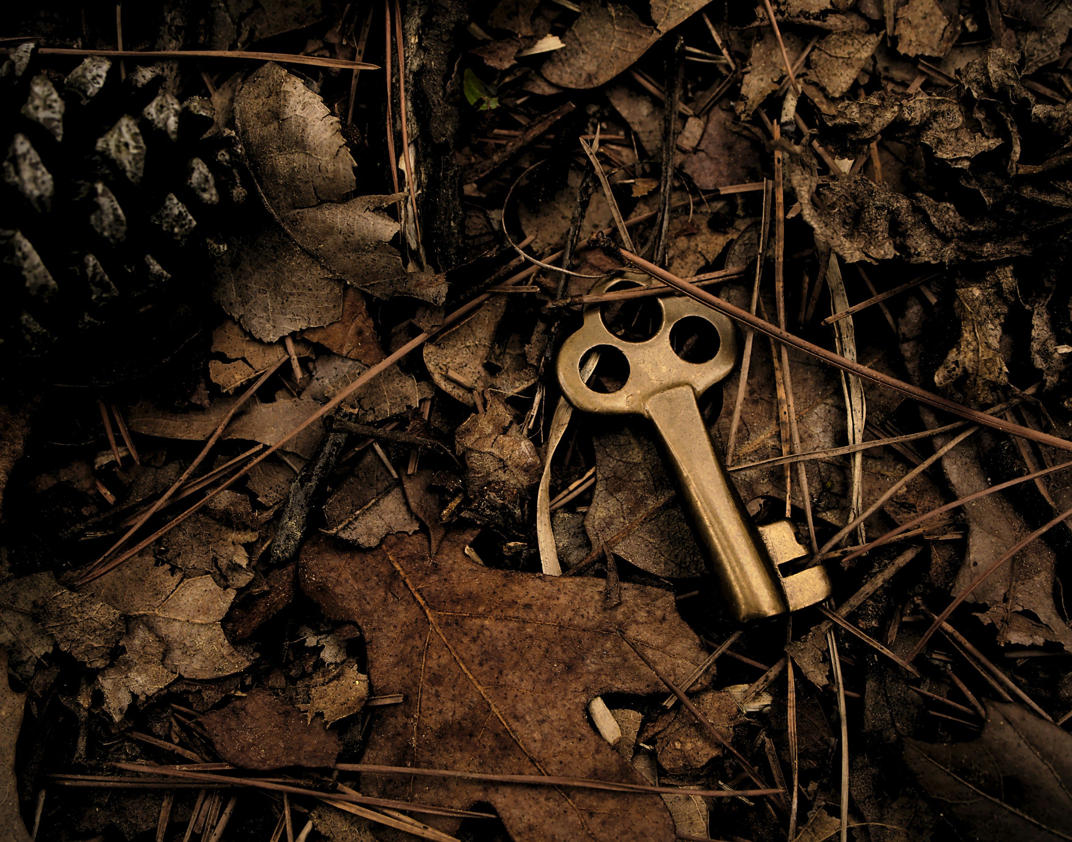 Featured Image - Article: The Treasure